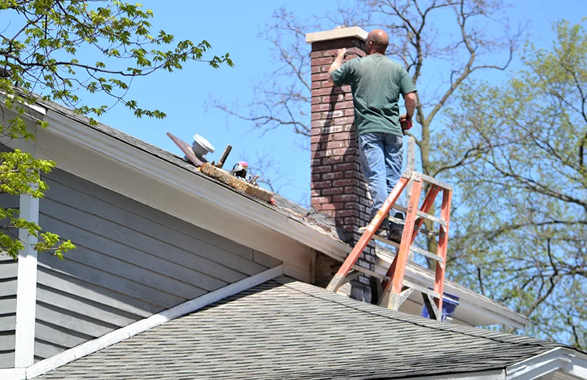Chimney & Fireplace Inspections Services in Kearny, NJ